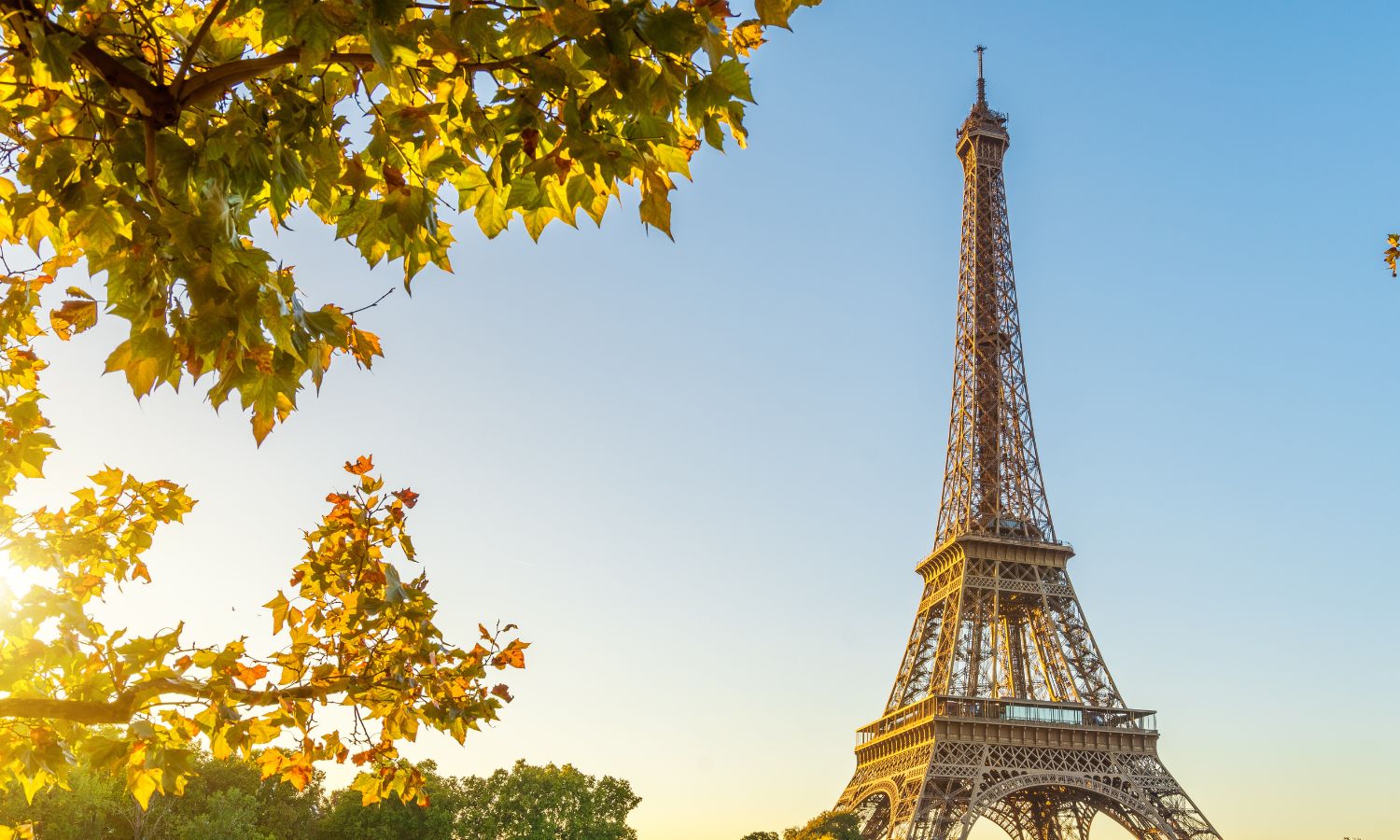 Immigration professionnelle et privée en France